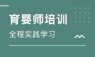 浦西鐘點(diǎn)工、保姆、育嬰師專業(yè)指南 選擇晨忞家政，助力上海品質(zhì)生活