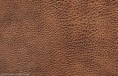 皮革貼圖 虛擬與現實的藝術融合